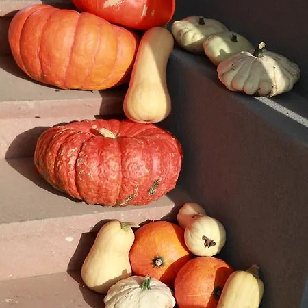 Hotel Les Portes De La Vallee 3*