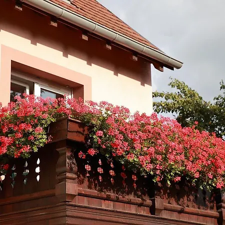 Les Portes De La Vallee 3* Turckheim